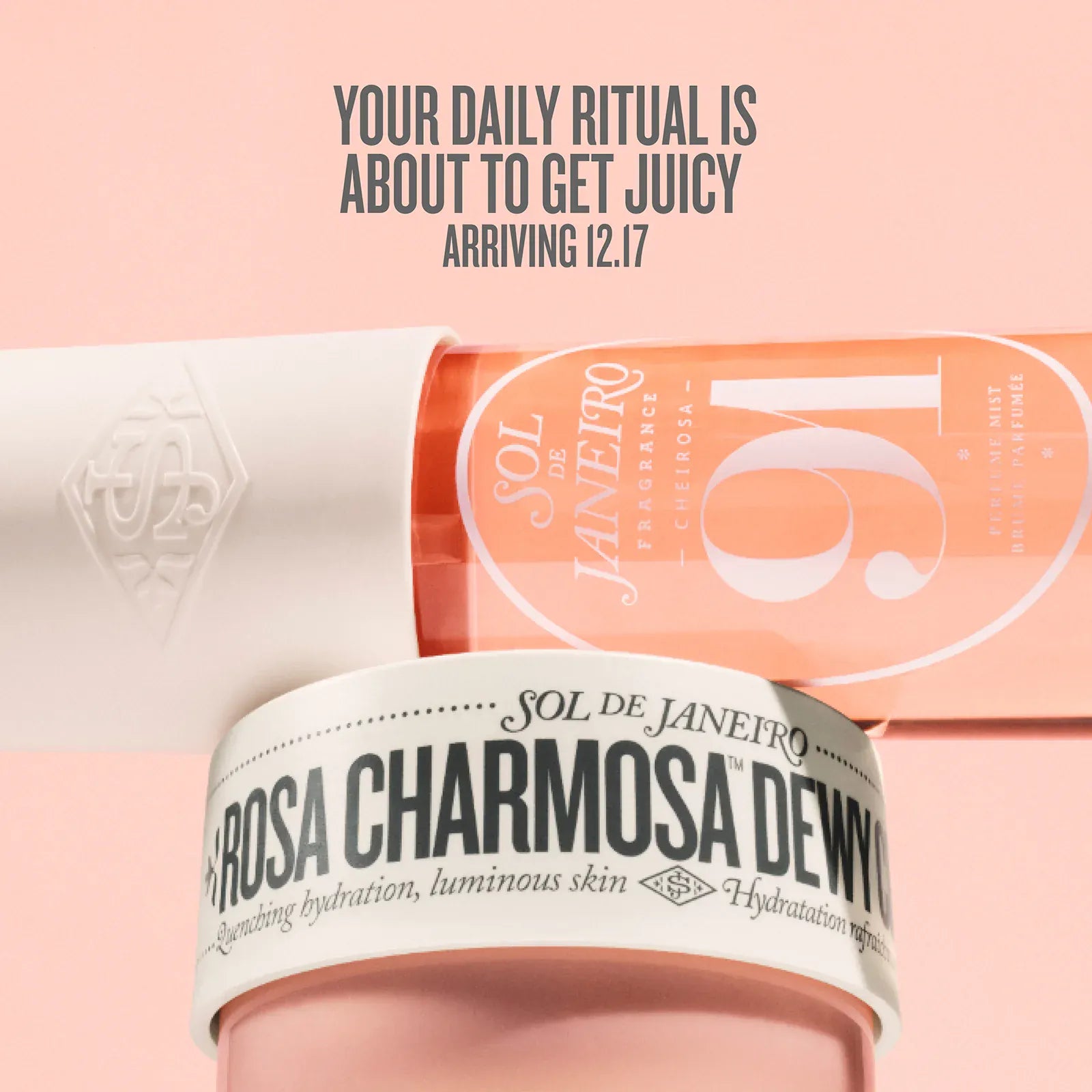 Rosa Charmosa™ Duo