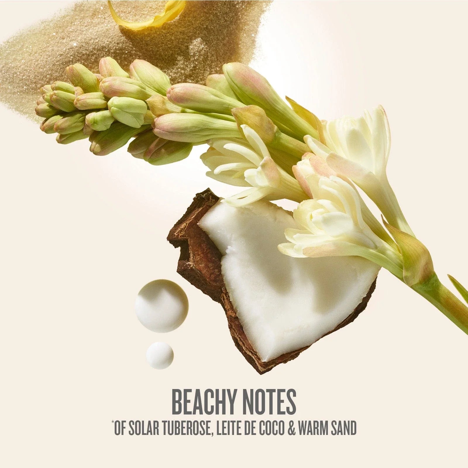 Rio Radiance™ SPF 50 Body Oil | Seasonal Exclusive